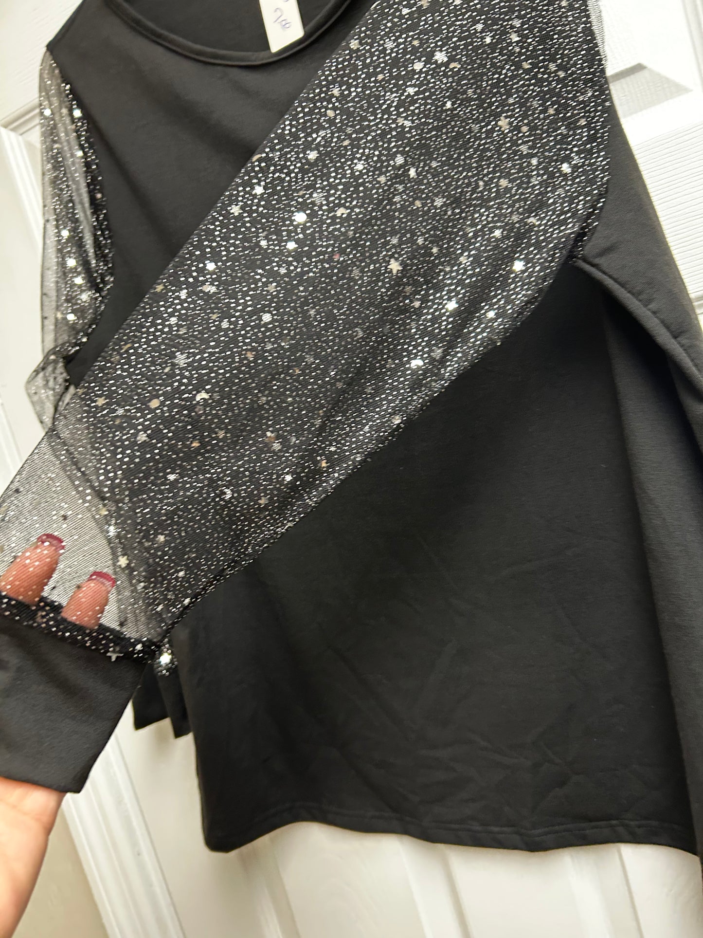 Black Plus Size Long Sheer Sparkly Sleeved Top 2x